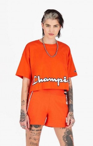 Magliette Donna Champion Cropped Script Logo T-Shirt Arancioni | 3160-NJLFR