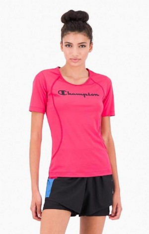 Magliette Donna Champion Script Logo Allenamento T-Shirt Rosa Scuro | 2908-ZMJVR