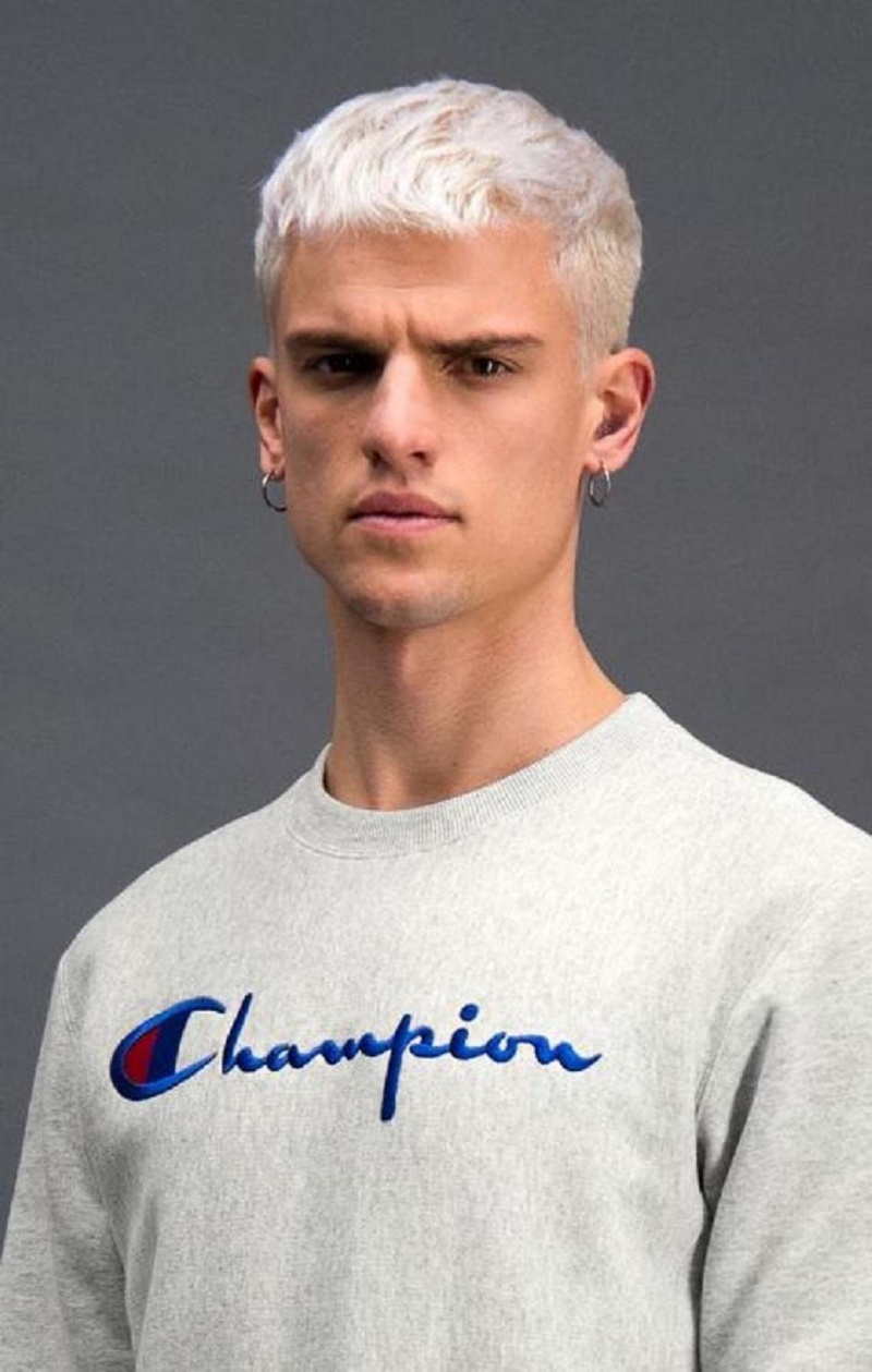 Felpe Uomo Champion Script Logo Reverse Weave Sweatshirt Grigie Chiaro | 9471-URHYF