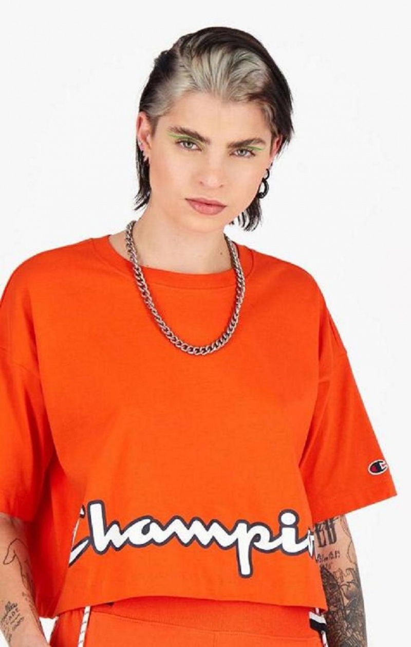 Magliette Donna Champion Cropped Script Logo T-Shirt Arancioni | 3160-NJLFR