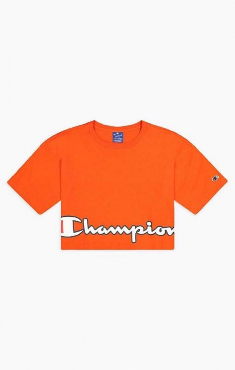 Magliette Donna Champion Cropped Script Logo T-Shirt Arancioni | 3160-NJLFR